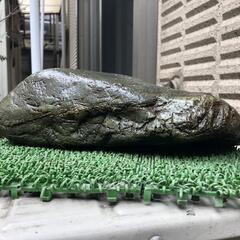 緑石　盆栽石　平石　水槽石　園芸　生け花　ガーデニングの画像