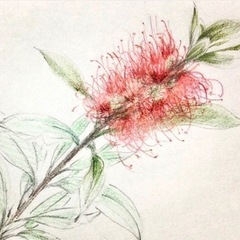 向島町で絵画教室もやってます🖼️の画像