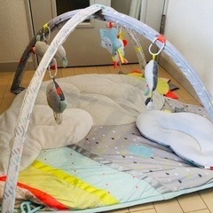 SKIP HOP スキップホップ　プレイマットの画像