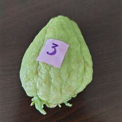 ハヤトウリ　種　緑色　③