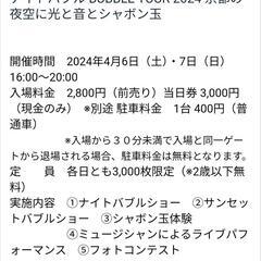 ナイトバブル BUBBLE TOUR 2024  チケット2枚の画像