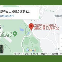 ナイトバブル BUBBLE TOUR 2024  チケット2枚の画像