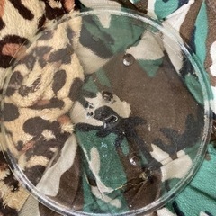 電子レンジ中皿の画像