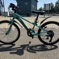 ジュニア自転車22inc