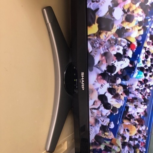 テレビ