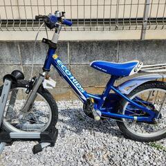 自転車 ブリジストンエコキッズ