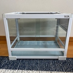 爬虫類飼育セットの画像