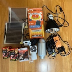 爬虫類飼育セットの画像