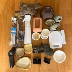 爬虫類飼育セットの画像