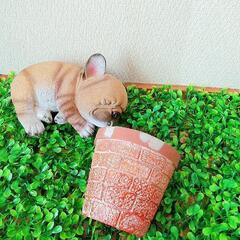 生活雑貨 家庭用品 ガーデニングの画像