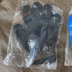 ペットのグルーミンググローブの画像