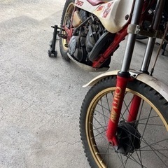 ヤマハTY250の画像