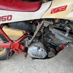 ヤマハTY250の画像