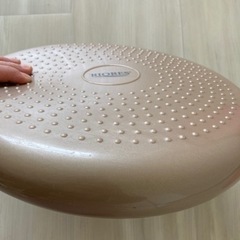 【決定】バランスディスク　トレーニングの画像