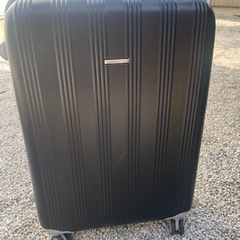【お譲り先決定】fyls スーツケース LＬサイズの画像