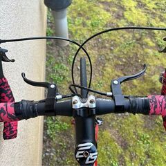 FELT ROAD BIKE (Carbon frame) の画像