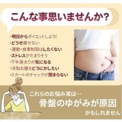 骨盤スリム3Dエアーの画像