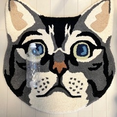 【美品】ニコアンド購入　猫マットの画像