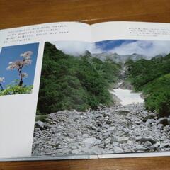 絵本「オコジョのすむ谷」の画像