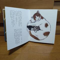 絵本「スイッチョねこ」の画像