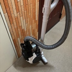 家電 生活家電 掃除機