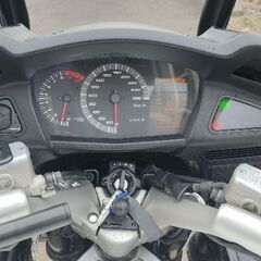HONDA パンヨーロピアンSTX1300の画像