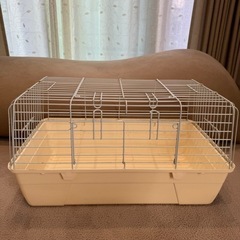 ハリネズミ　ゲージの画像