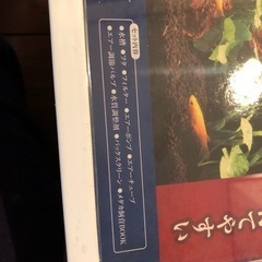 メダカのための水槽セット400の画像