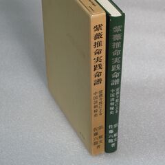 紫薇推命実践命譜 佐藤六龍