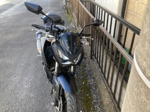Z250 2017年購入