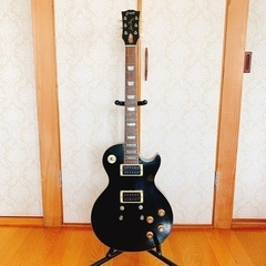 【決まりました】GRECO EG-450