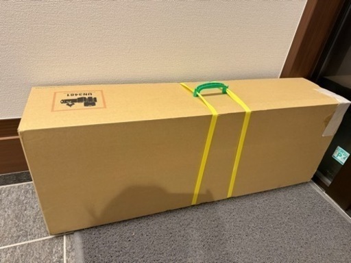 家電 生活家電 掃除機