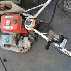 WM606A　ウイングモア

の画像