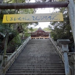 八幡平ドラゴンアイ見に行きたい方　 - 仙北市