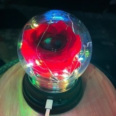 赤いバラの電飾付きの置物の画像