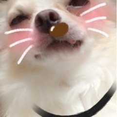 楽しくお話しませんか？