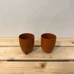 コップ (2セット)