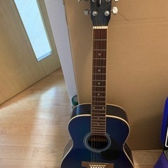 楽器 弦楽器、ギター