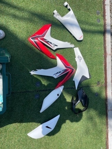 スポーツ マリンスポーツ