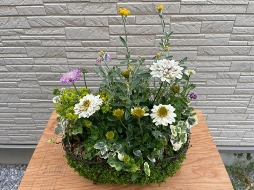 生活雑貨 家庭用品 ガーデニング