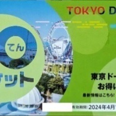 東京ドームシティ★得10チケット★1冊 10ポイント