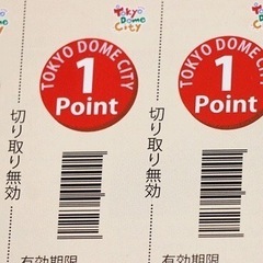 東京ドームシティ★得10チケット★1冊 10ポイントの画像