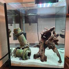【お得！】オシャレなキューブ型の水槽！の画像