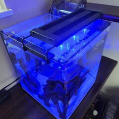 【お得！】オシャレなキューブ型の水槽！の画像