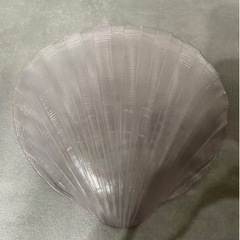 シェル　大皿　の画像