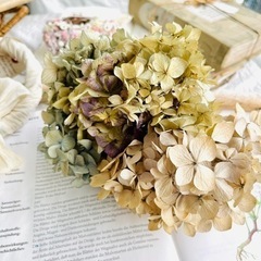 現品写真　お手入れなしでずっと飾れるドライフラワー紫陽花　あじさい の画像