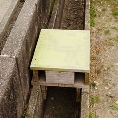 中古並品　30㎝Ｕ字溝の蓋（後期型） 座れ、踏み台にもなります。の画像