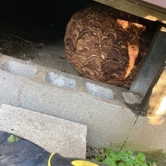 ハチ駆除、草刈伐採、鍵屋、ロードサービス、便利屋作業員募集！！
