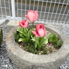 土木工事作業員さん募集