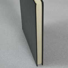 五行十干体用 子平推命実占講義 佐藤六龍①の画像